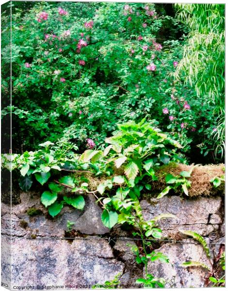  Castle wall Canvas Print by Stephanie Moore