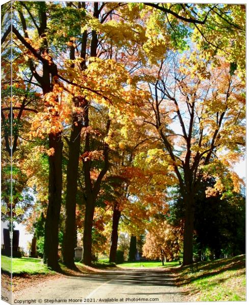 Colourful fall trees Canvas Print by Stephanie Moore