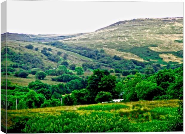 Hills of Sligo, Donegal, Ireland Canvas Print by Stephanie Moore