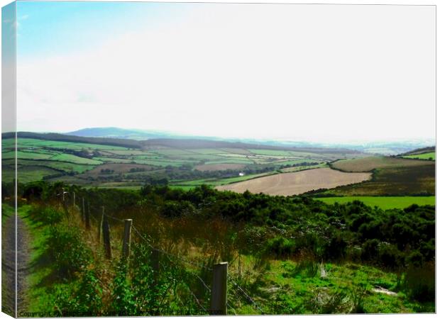 Hills and fields of Donegal Canvas Print by Stephanie Moore