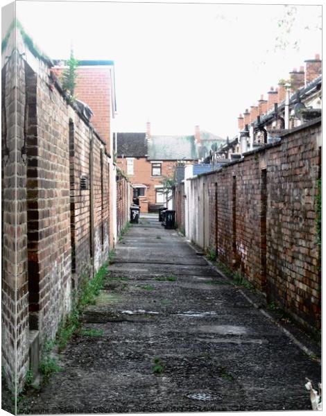 Alley in Belfast Canvas Print by Stephanie Moore