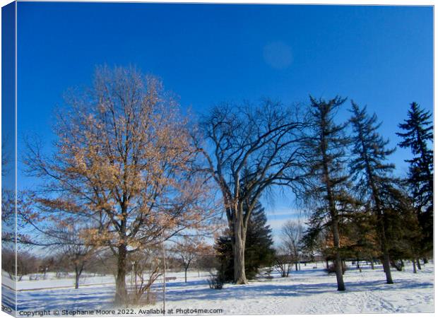 Perfect Winter Day Canvas Print by Stephanie Moore