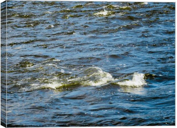 Flooded Rideau River Canvas Print by Stephanie Moore