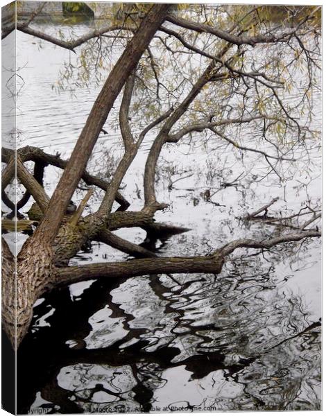 Fallen tree reflections Canvas Print by Stephanie Moore