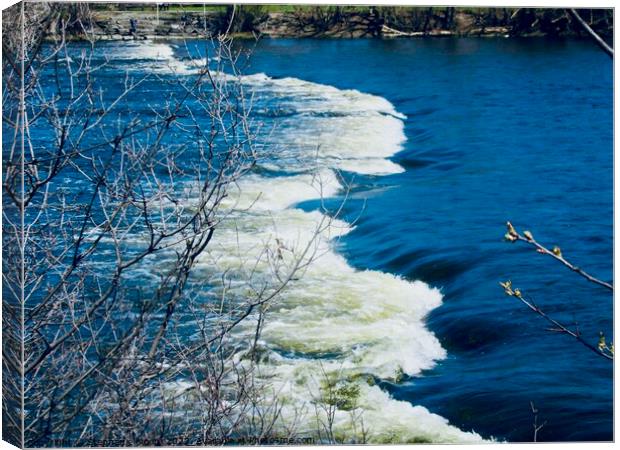 Rideau River Rapids Canvas Print by Stephanie Moore