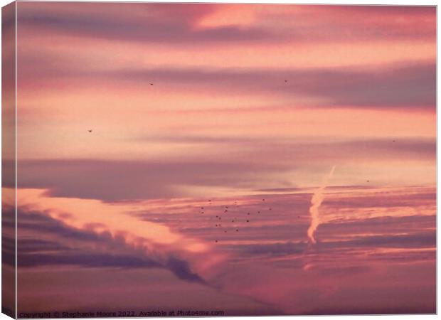 Sunrise with birds Canvas Print by Stephanie Moore