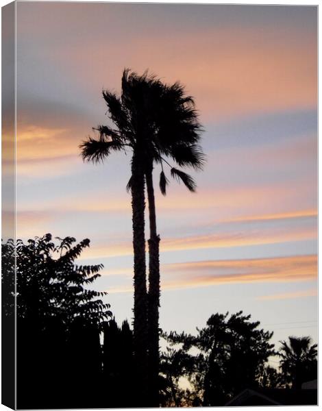 California Sunset Canvas Print by Stephanie Moore
