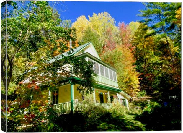 House in the forest Canvas Print by Stephanie Moore