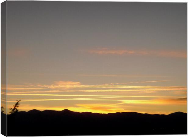 California sunset Canvas Print by Stephanie Moore