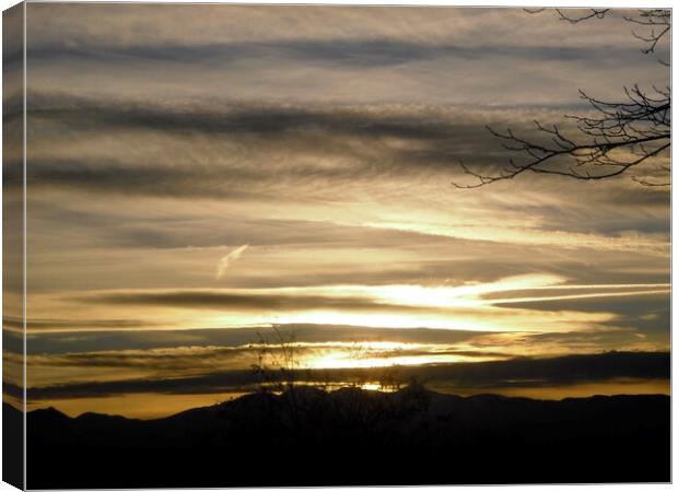 Winter Sunset Canvas Print by Stephanie Moore