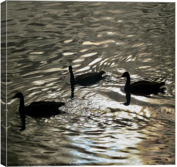 Early Morning Geese Canvas Print by Stephanie Moore