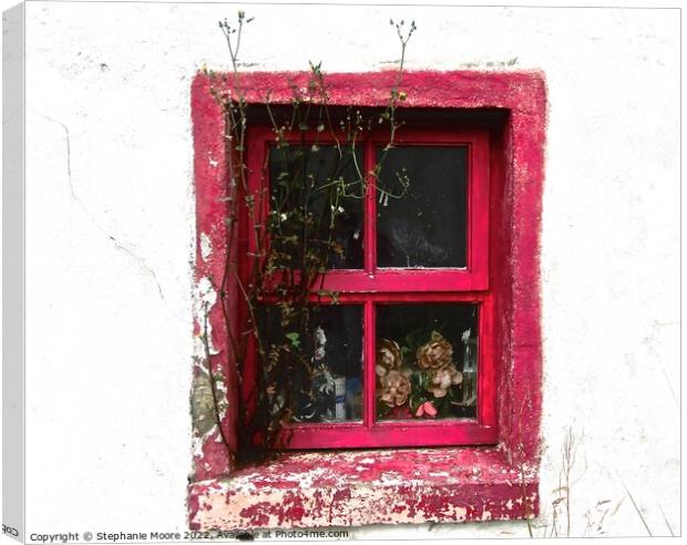 Abandoned cottage window Canvas Print by Stephanie Moore