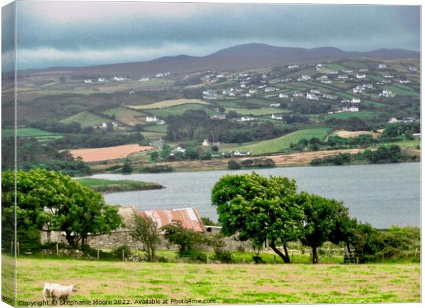 Rainy day in Donegal Canvas Print by Stephanie Moore