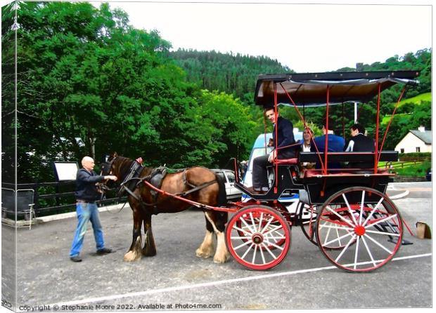 Horse and Cart Canvas Print by Stephanie Moore