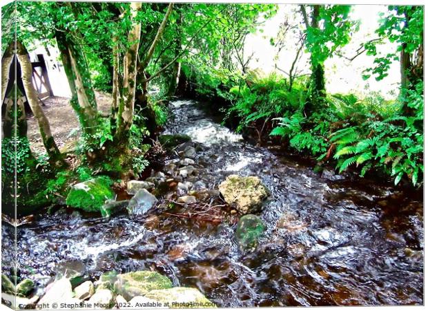 Another stream at Glencar Canvas Print by Stephanie Moore