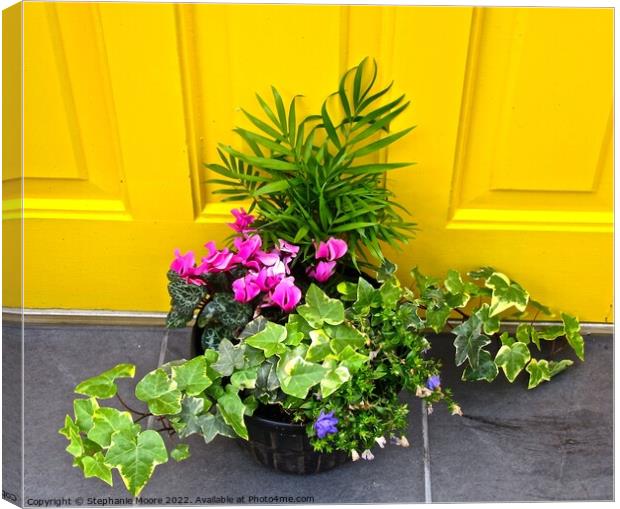 Plant in front of a yellow door Canvas Print by Stephanie Moore