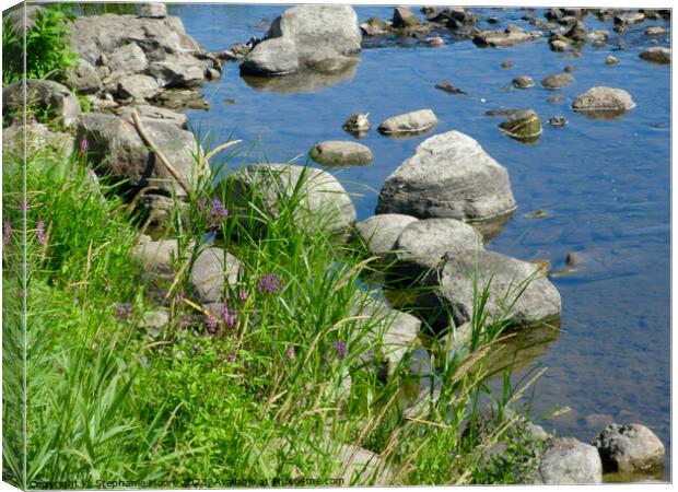A close up of a rock next to a body of water Canvas Print by Stephanie Moore