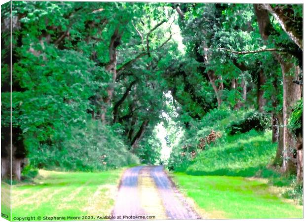 Private drive to Colebrooke Manor Canvas Print by Stephanie Moore
