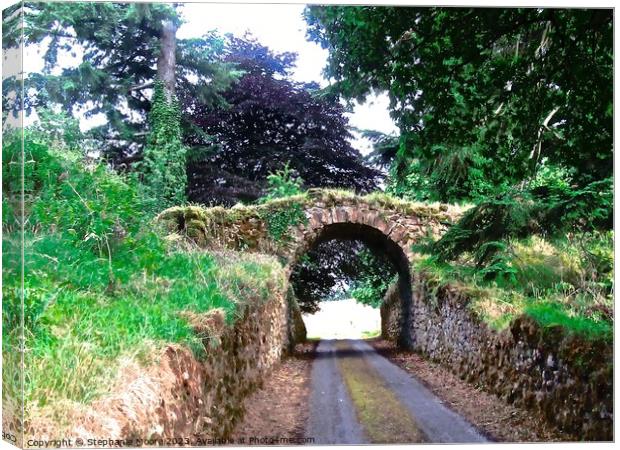 Ancient stone bridge Canvas Print by Stephanie Moore