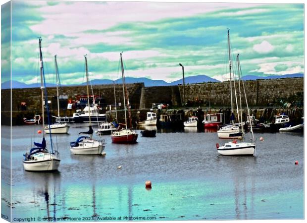 Milk Harbour Canvas Print by Stephanie Moore