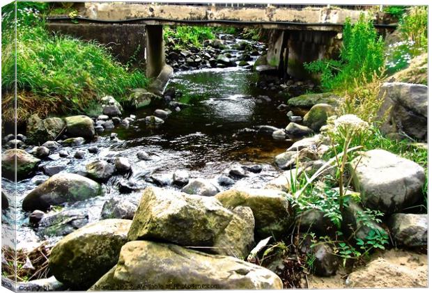 Stream at Downhill Canvas Print by Stephanie Moore