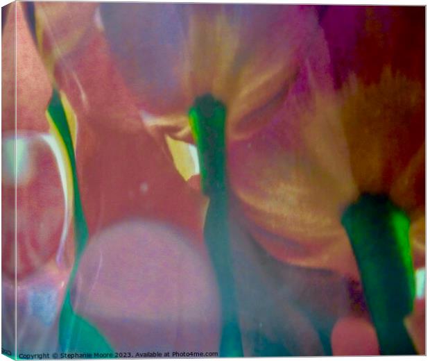 Tulip Abstract Canvas Print by Stephanie Moore