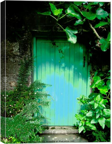 Green Door Canvas Print by Stephanie Moore