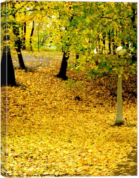 Golden path Canvas Print by Stephanie Moore