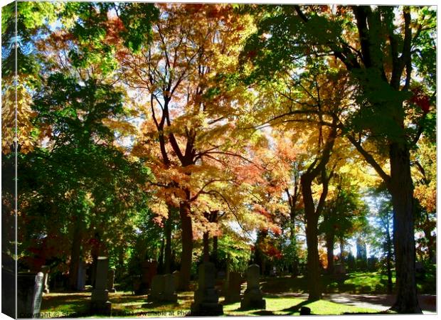 Fall in Beechwood Cemetery Canvas Print by Stephanie Moore