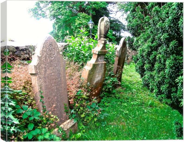 Ancient Gravestones Canvas Print by Stephanie Moore