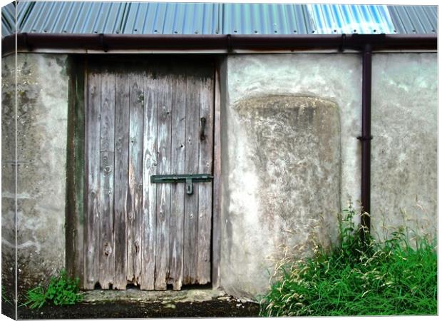 Old Shed Canvas Print by Stephanie Moore