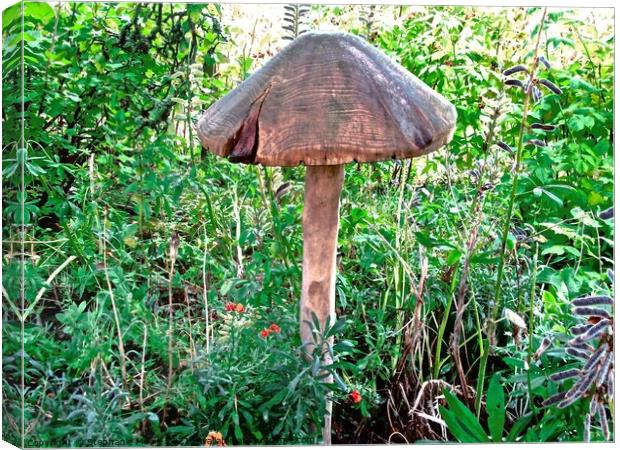 Carved wooden toadstool Canvas Print by Stephanie Moore