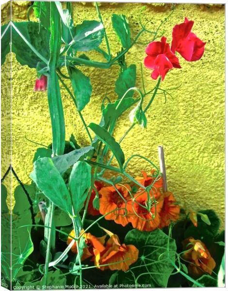 Sweetpeas and Nasturtiums Canvas Print by Stephanie Moore