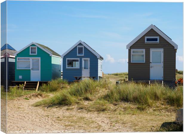 beach huts Canvas Print by Nik Taylor