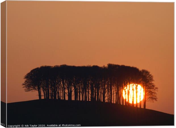 Sun setting behind the 'nearly home' trees, Devon, UK Canvas Print by Nik Taylor