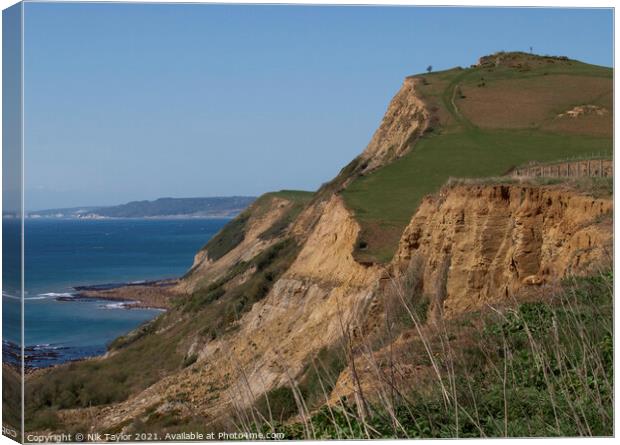 Dorset coastline Canvas Print by Nik Taylor