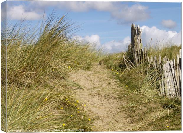 footpath to the beach Canvas Print by Nik Taylor