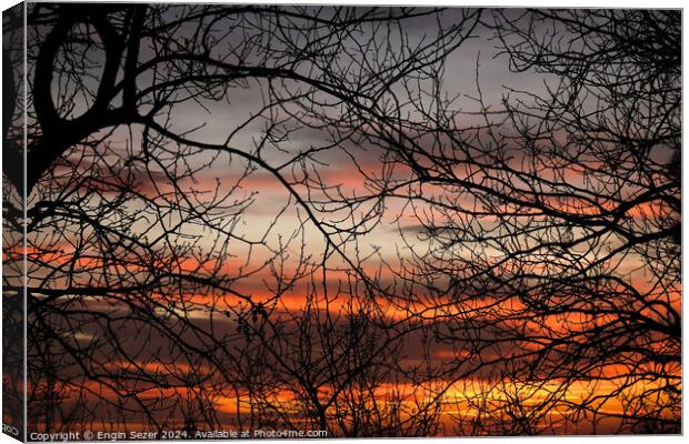 Bare tree branches in the sunset as abstract nature background Canvas Print by Engin Sezer