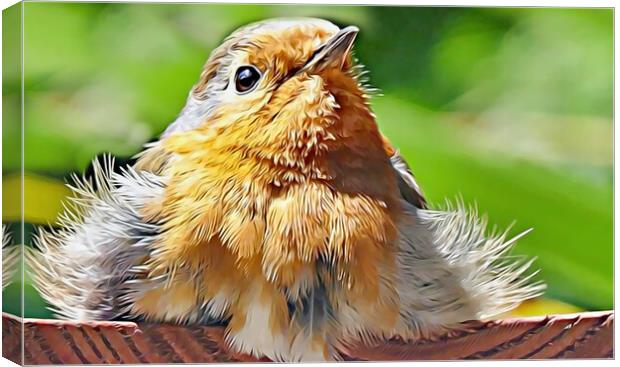 ROBIN CHICK Canvas Print by LG Wall Art