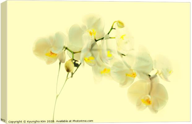 Orchid Translucent Canvas Print by Kyungho Kim