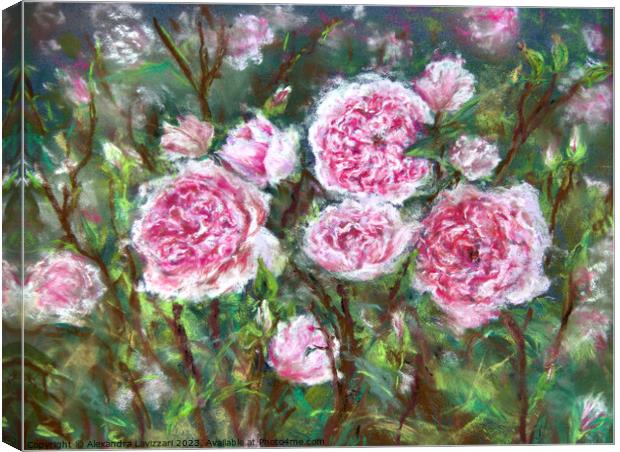 English Roses Canvas Print by Alexandra Lavizzari