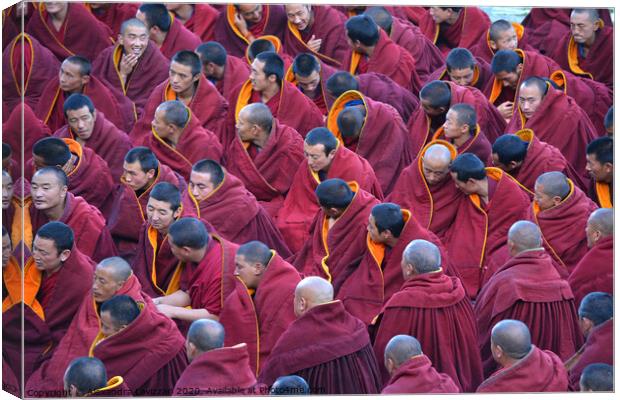 A Gathering of Tibetan Monks  Canvas Print by Alexandra Lavizzari