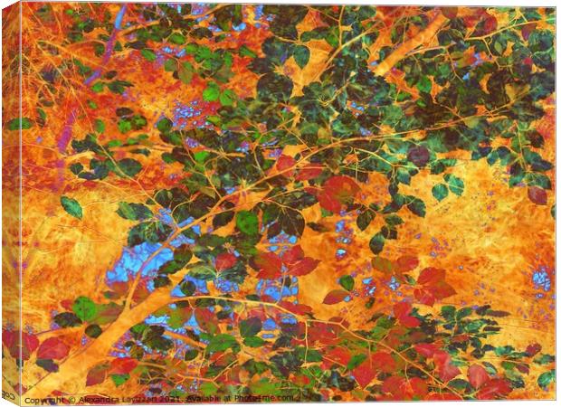 Tree Canopy Canvas Print by Alexandra Lavizzari