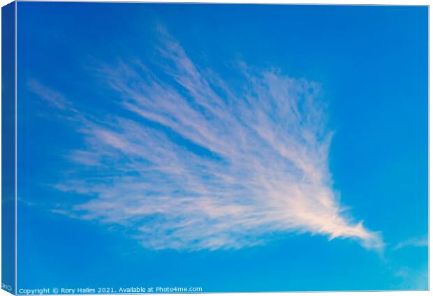 Cirrus cloud Canvas Print by Rory Hailes