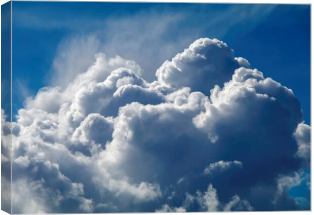 Cumulus cloud Canvas Print by Rory Hailes