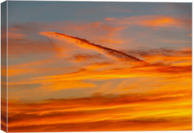 Sunset contrail Canvas Print by Rory Hailes
