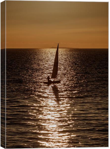 Sailing silhouette Canvas Print by Rory Hailes