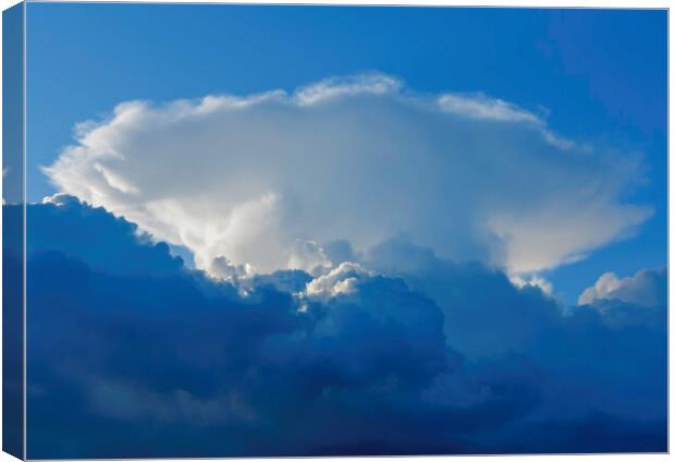 Large cumulus cloud against a blue sky Canvas Print by Rory Hailes