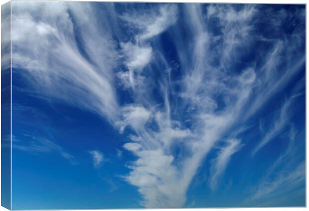Cirrus clouds Canvas Print by Rory Hailes