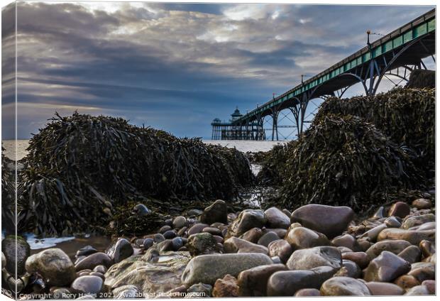 Clevedon Pier Seaweed Canvas Print by Rory Hailes